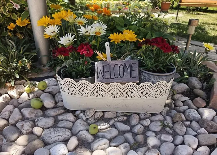 Angela Supetarska Draga